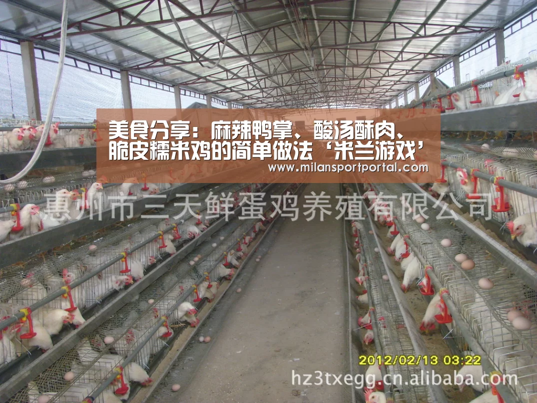 美食分享：麻辣鸭掌、酸汤酥肉、脆皮糯米鸡的简单做法‘米兰游戏’